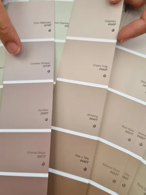 תוכניות עבודה מפורטות