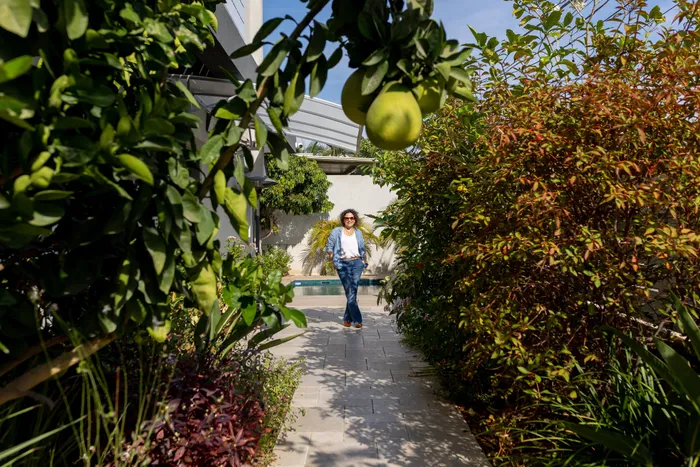 שביל גינה מוקף עצי הדר וצמחייה — הדרך לבריכה