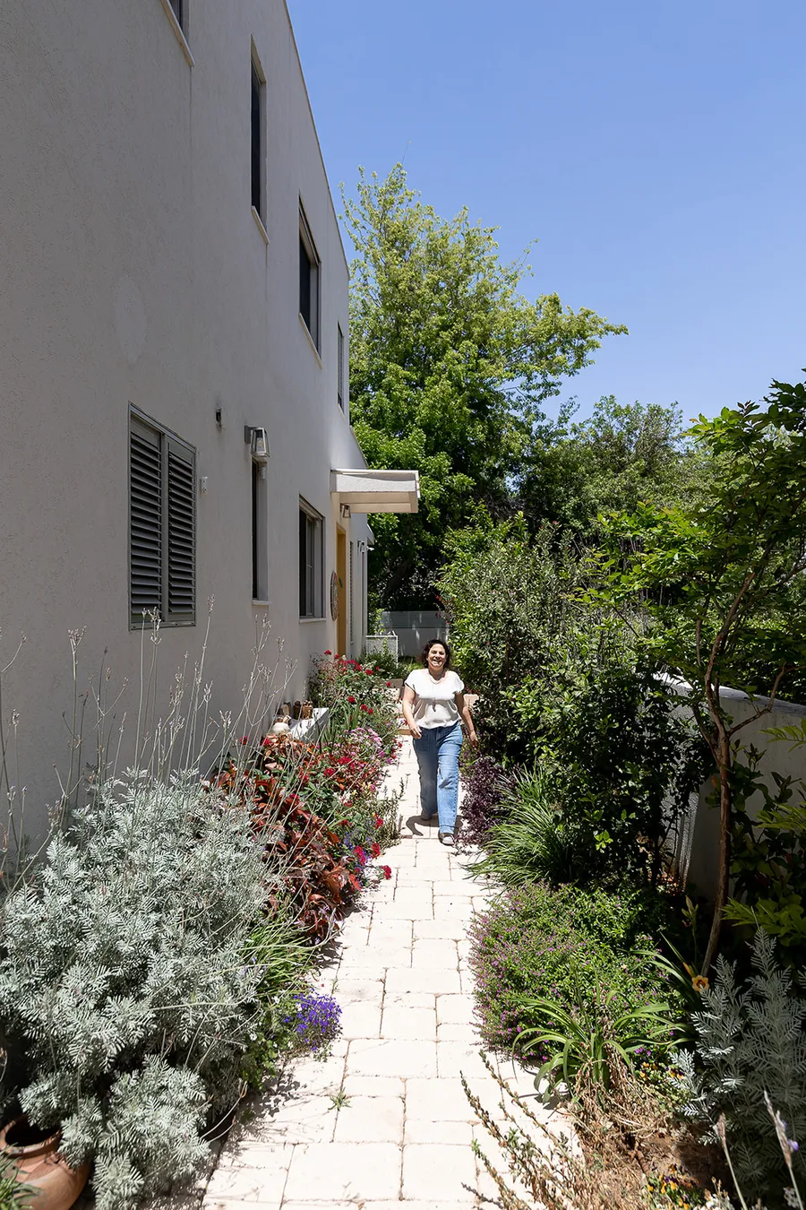 שביל הגינה מוקף צמחייה פורחת