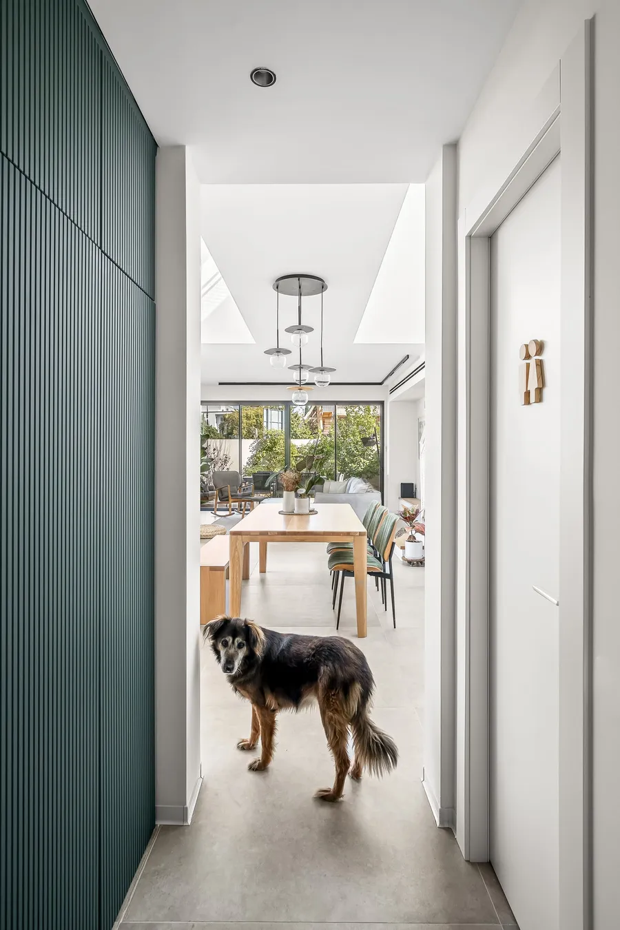 מסדרון כניסה עם קיר ירוק מחורץ וכלב המשפחה